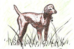BadArt-Field-Dog