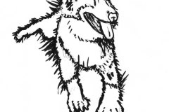 BadArt-Spiky-Dog