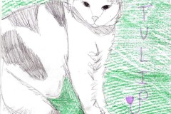 Bad_Art_Tulip