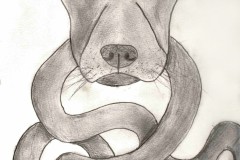 Copy-of-Argo-the-long-armed-Dog