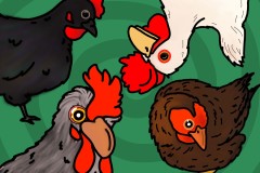 Copy-of-BadArt_Chickens