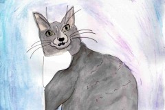 Copy-of-Flora_s-Cat