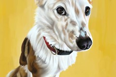 Copy-of-IMG_0267_Kisylia