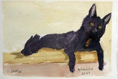 Copy-of-IMG_7602