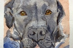 Copy-of-IMG_7608_Brody
