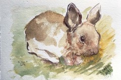 Copy-of-IMG_7610_Oli