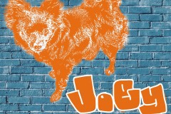 Copy-of-Joey-HardCopy