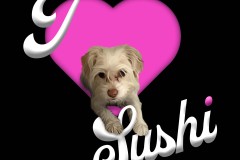 Copy-of-Sushi_Feldman-art