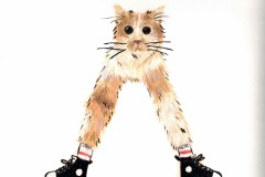 Copy-of-Toast-the-Kitty