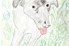Copy-of-Ziggy-the-Dog