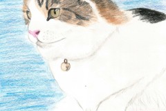 Copy-of-badart_bodhi