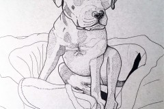 Copy-of-donor-Brooke-Suchomel