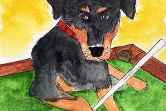 IMG_3605_CathyDenny