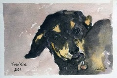 IMG_7603_Twinkie