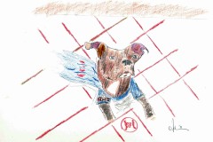 Joey-Weng_s-Dog