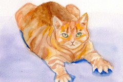 JulieLane