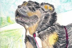 Kingston-art