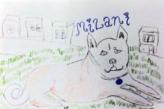 Milani_badart