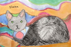 Simba-the-Cat
