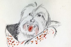 bkramer-pup-ecopy
