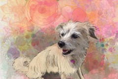 bobbie-pup1