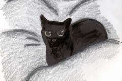 christina-heller-aharris-shadow
