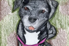 christina-heller-epatch-pup