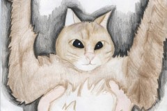 christina-heller-jkowk-fergusonbiggs