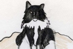 christina-heller-wbridges-kitty