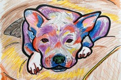 puppers_DianeAndrovich