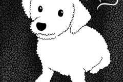 0003