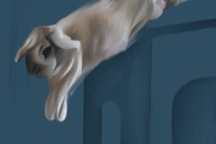 0067