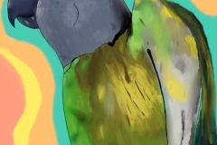 0082