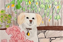 alexanderwang_hedwig_sienagunari