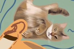 DeborahDoyle_Wilbur_VictoriaGuzman