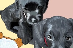 IMG_4594 - Lauren Kerr