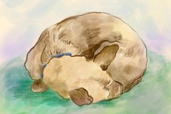 20230803_122715 - Robin Leffert