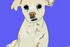 2024-badart-016