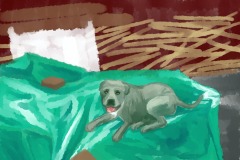 2024-badart-059