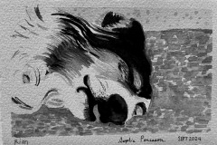 Untitled design