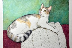 Microsoft Word - Genevieve Cottraux_Gracie_Pat McCabe