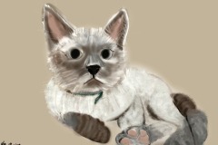 Bad Pet art