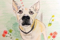 2024-badart-361