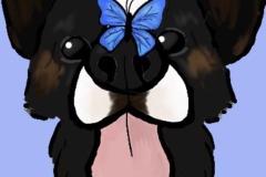 2024-badart-365