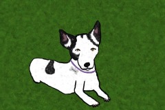 SabrinaKang_Autumn_ElleMcKenna