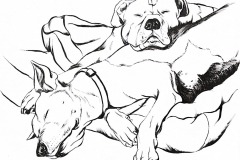 Sherri Rita_Boo Radley and Henry Pootel_Mariel Paat