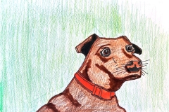 Anna Grenstam _Charlie_EzperanzaFernandez  - 1