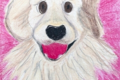 2025_BadArt_Portrait_0134