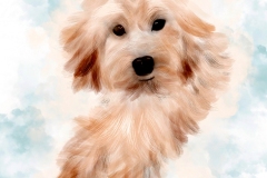 CaroleSweeney_Cody_SheenaMinoc