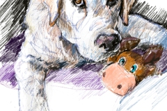 Cooper